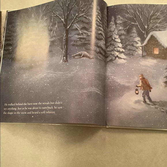 🤑”Winter’s Gift” book by Jane Monroe Donovan - Picture 8 of 11
